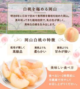 岡山県産　白桃 5玉 (1.5kg以上) 等級：ロイヤル 木箱入り
