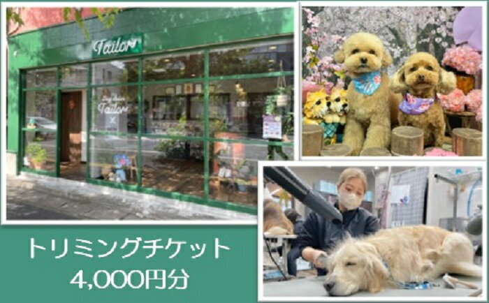 【ふるさと納税】Dog Salon Tailor チケット 4000円分 / 犬 ドッグ わんちゃん ワンちゃん トリミング ペットトリミング