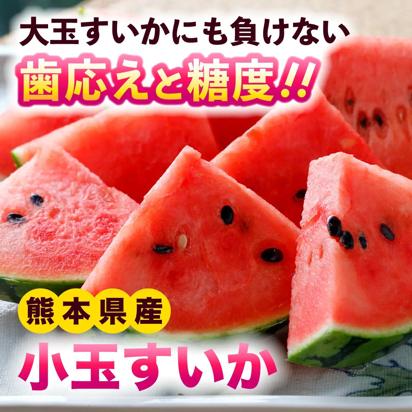 令和8年熊本地震復興支援 先行予約2027年5月下旬より発送 訳あり小玉すいか2玉計約2kg~3kg数量限定スイカすいかAYAT009
