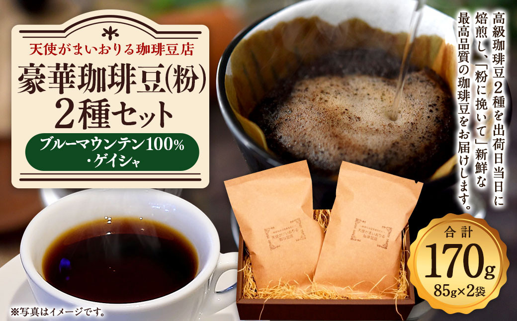 
豪華珈琲豆 (粉に挽いて) 2種 ブルーマウンテン100％ ゲイシャ 計2袋
