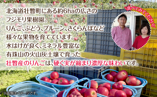 【先行予約】北海道壮瞥町産りんご「サンつがる」約3kg(8～11玉)＜2026年9月下旬よりお届け＞ SBTF001