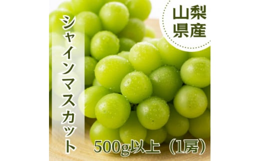 ＜2025年先行受付＞やみつきシャインマスカット 500g以上(1房)【1551175】