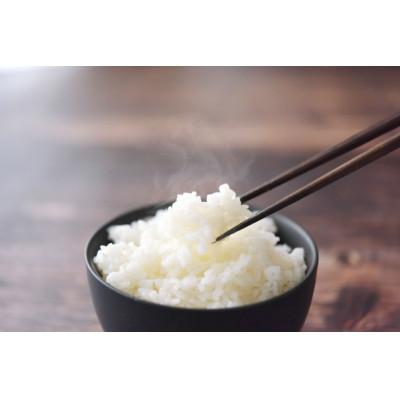 ふるさと納税 新庄市 《先行受付》山形県産米 コシヒカリ10kg |  | 03