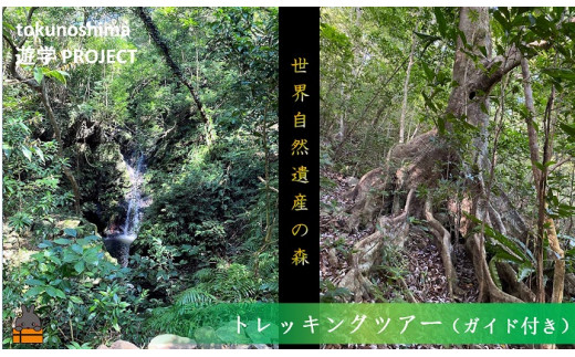 1741徳之島　トレッキング（ガイド付き）ツアー（1名）