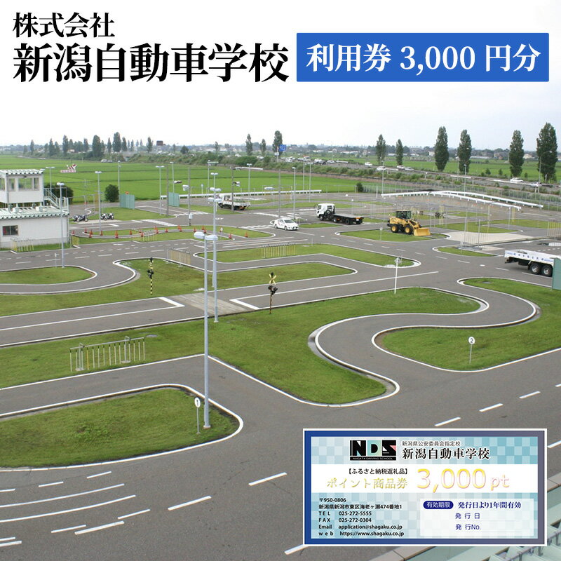【ふるさと納税】株式会社　新潟自動車学校　利用券3,000 円分　 チケット 体験チケット 免許 普通車 大型車 中型車 準中型車 二輪車 大特車 けん引免許
