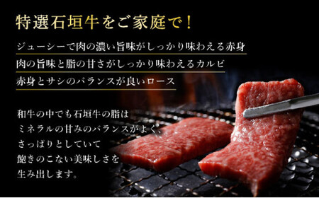 【2025年11月以降順次発送】希少な特選石垣牛をご家庭で！！赤身（モモ、ランプ）とカルビとロース　よくばり焼肉食べ比べセット合計600g&石垣牛 MARU秘伝の焼肉タレ100ml×1本 | 沖縄 石