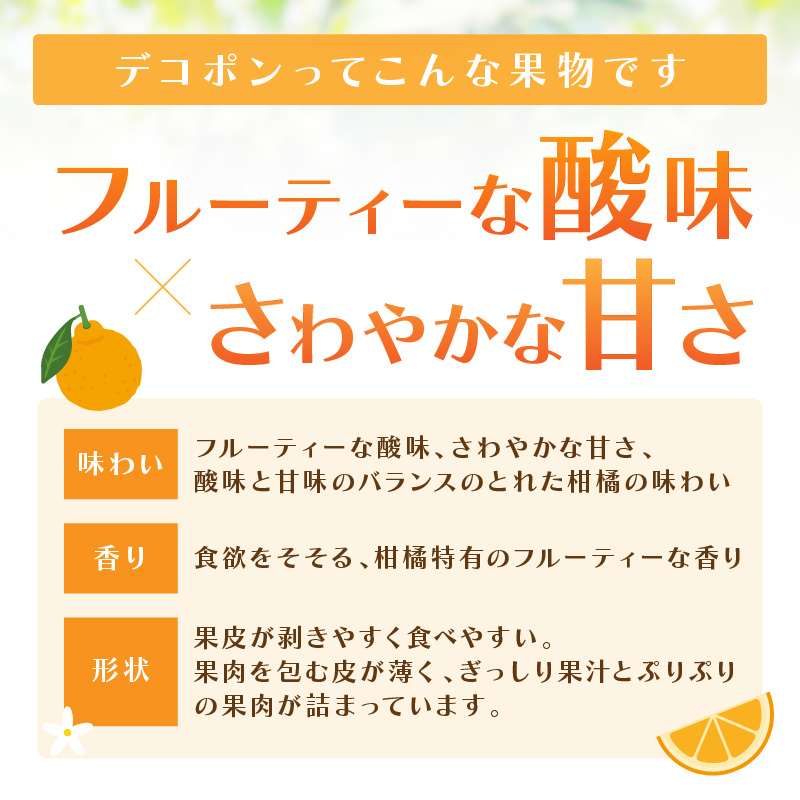 佐賀産 デコポン 約2.5kg (8-11玉) (伊万里市) 柑橘類 147-B804