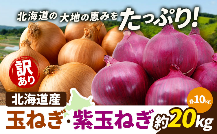 訳あり 野菜 玉ねぎ・紫玉ねぎ 20kg B&T TRADING株式会社《30日以内に出荷予定(土日祝除く)》北海道 日高町 玉ねぎ 紫玉ねぎ 赤玉ねぎ 北海道産 国産 野菜 大容量 家庭用 常備野菜