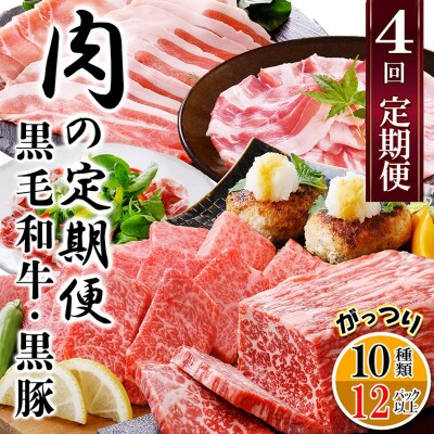 定期便4回配送　肉の定期便 EE−6016【配送不可地域：離島】【1491491】