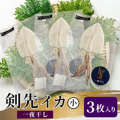 ふるさと納税 壱岐市 剣先イカ一夜干し小3枚入