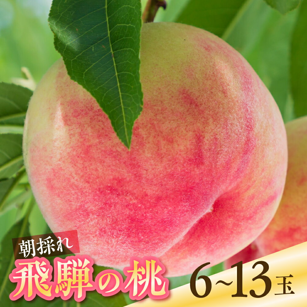 【ふるさと納税】2025年先行予約 令和7年産 桃 6玉 8-9玉 13玉 もも 1.5kg 2.5kg 3kg 秀品 白桃 果物 フルーツ ギフト 贈答 朝採れ 飛騨 家庭用 訳あり 訳アリ 産地直送 15000円 20000円 スイーツ フルーツ デザート 旬 モモ 送料無料 白鳳 昭和白鳳 飛騨おとめ なつっこ