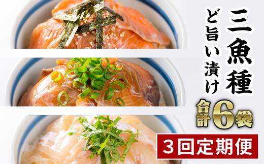 【ふるさと納税】年内発送 12月末までにお届け【定期便3回】3種の魚の漬け丼 食べ比べセット（計6袋セット × 3回）ふるさと納税 魚 冷凍 惣菜 おいしい 海鮮 真空パック 小分け 惣菜 人気 海鮮丼 漬け丼 サーモン 鮭 さけ ブリ 鰤 ぶり 鯛 たい タイ 真鯛 正月 KI-47