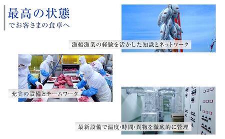 アイスバーグサーモン400gと天然本鮪赤身サク150gセット