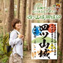 【ふるさと納税】四ツ山城 御城印 1枚 埼玉県指定史跡 比企郡 / おいでなせえ / 埼玉県 小川町