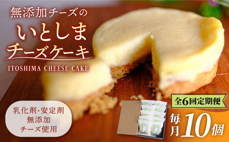 【全6回定期便】無添加チーズのいとしまチーズケーキ【10個入り】 糸島市 / 糸島手作り工房 爽風 [ATA009]