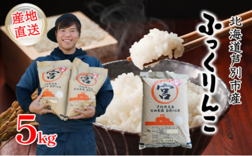 米 令和7年産 ふっくりんこ 5kg 宮田農園 北海道 令和7年産 新米 お米 5キロ ご飯 白米 精米 北海道米 産地直送 送料無料 芦別市 こめ おこめ コメ ごはん 2025年 2025 令和7