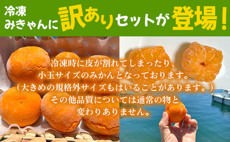 ＜【訳あり】冷凍みきゃんセット みきゃん盛り（皮付き15個）＞ ミカン 温州みかん 柑橘 果物 フルーツ デザート 詰合せ 特産品 渡江から一歩を踏み出す会 食べて応援 愛媛県 西予市【冷凍】『202
