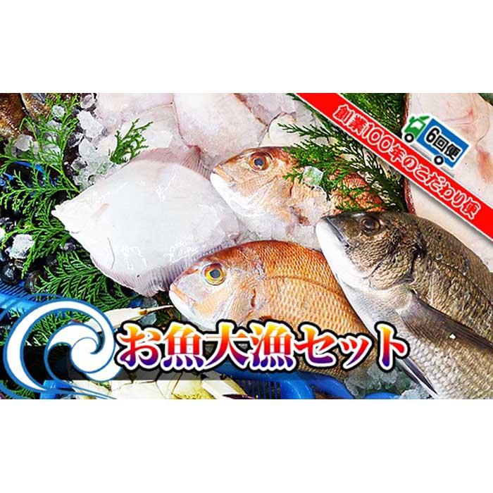 【ふるさと納税】【定期便6回】創業100年の魚屋さんが選び抜いた旨い鮮魚直送便～ | 香川県 坂出市 香川 四国 楽天ふるさと 納税 返礼品 支援 お取り寄せグルメ 取り寄せ グルメ 食品 定期便 魚介 魚介類 海の幸 海産物 毎月 魚 新鮮 産地直送 さかな 特産品 お取り寄せ