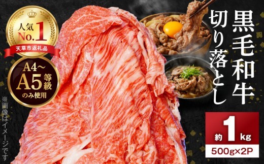 S001-001-07_【7月発送】A4～A5等級 黒毛和牛 切り落とし 1kg（500g×2P）