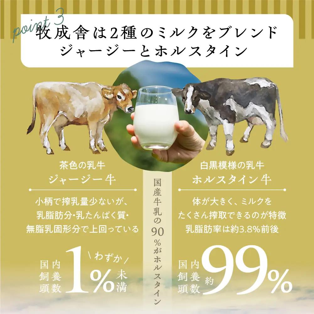 牧成舎こだわり 季の風ヨーグルト/ 生クリームヨーグルト 計20個 [A0093]