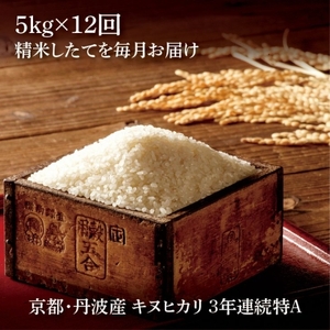 【12回定期便】白米5kg×12回 計60kg 京都丹波産キヌヒカリ 米 白米 定期便＜JA京都 たわわ朝霧＞令和5年産 米 白米 5kg 12ヶ月 定期便 米 白米 毎月発送に合わせて精米 定期便 