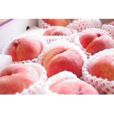 【2026年先行受付】厳選!山梨市産 桃 約1.5kg(4～7玉)【配送不可地域：離島】