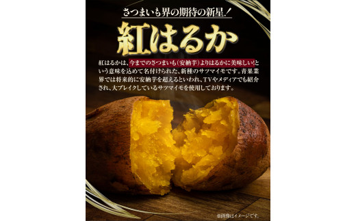 焼き芋のテリーヌと焼き芋のセット 7個セット 合同会社いたふ 《30日以内に出荷予定(土日祝除く)》---so_fitatrimset_30d_23_13500_7k---