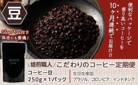 10回お届け!焙煎職人こだわりのコーヒー定期便【豆】250g 小分けパック(ジッパー・バルブ付) ※中深煎り※_TLA10-3302_(都城市) コーヒー豆 250g×1パック 少量パック ジッパー・