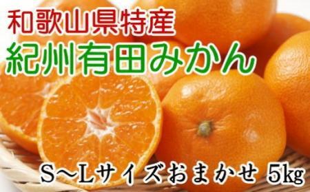 [厳選]和歌山有田みかん約5kg（S～Lサイズおまかせ）★2026年11月中旬頃より順次発送