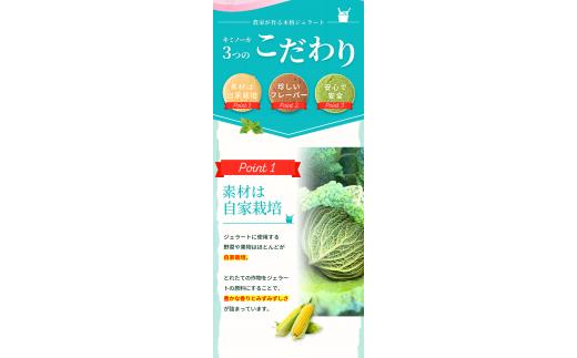 【キミノーカ選りすぐり】ジェラート8個セット【4月発送】 / ジェラート アイス アイスクリーム キミノーカ スイーツ 季節の 野菜 と 果物 使用 送料無料 夏 デザート【kmk001-4】