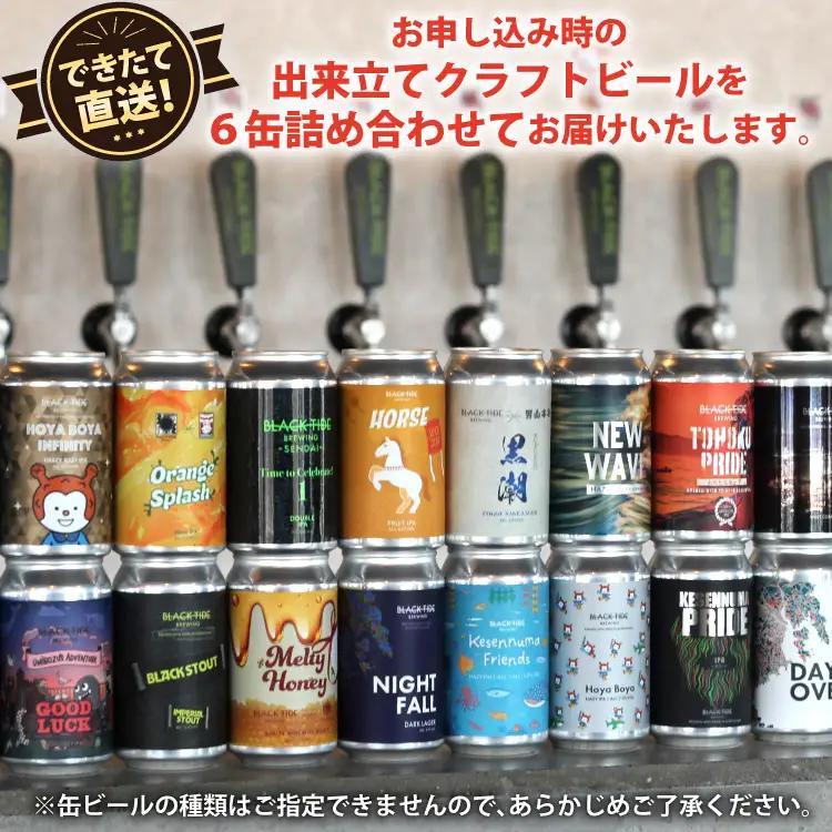 3回 定期便 BTB クラフトビール 6缶 セット【総計18缶】 