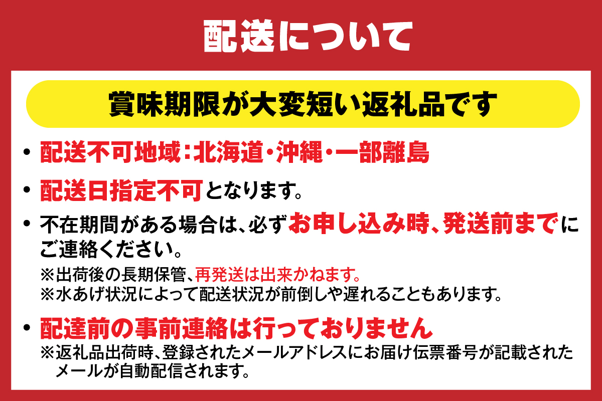 【先行予約】【香住ガニ 釜茹で ボイル 大きめ 約600g×2匹（約1.2kg以上）冷蔵】令和7年9月中旬以降順次発送予定 大人気 人気 ランキング ふるさと納税 返礼品 おすすめ 国産 しゃぶ かに