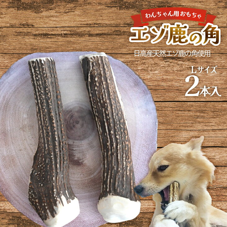 【ふるさと納税】エゾ鹿の角 Lサイズ×2本セット(1本物)[54-1533] 北海道 浦河 ふるさと納税 鹿の角 鹿 天然 犬用 わんちゃん おもちゃ 玩具 デンタルケア 大型犬 Lサイズ 送料無料