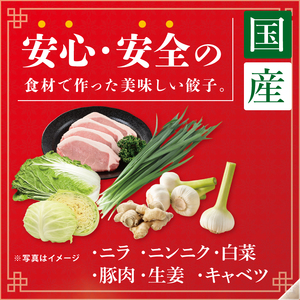 旨味たっぷり！本場プロの中華料理人が作る みとしゃん生餃子 60個（CS-3）
