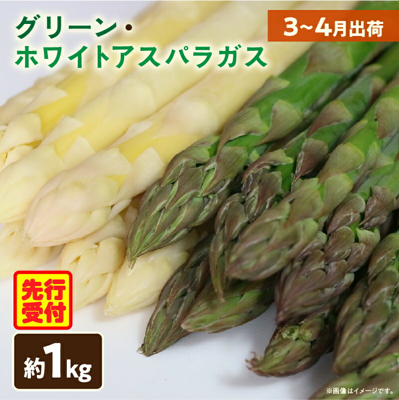 【ふるさと納税】【先行予約】グリーン・ホワイトアスパラガス約1kg（3～4月出荷） アスパラ アスパラガス ホワイトアスパラガス 新鮮 春野菜 グリーンアスパラガス 野菜 旬 旬の野菜 贈答 お裾分け 人気 おすすめ 贈り物 食品 香川県産 ふるさと 香川県 三木町 送料無料
