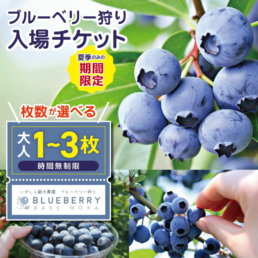 【ふるさと納税】ブルーベリー狩り 食べ放題 選べる 人数 1名様～3名様 時間無制限 夏｜チケット 体験 レジャー 観光 夏休み お出かけ 栃木県 真岡市