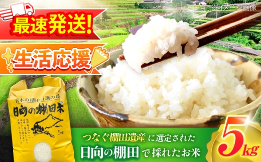 【1週間以内発送】 【令和7年産】なつほのか ひのひかり 5kg  単一米 白米 米 お米 数量 限定 5キロ 米5kg ごはん こめ コメ はくまい 厳選 白飯  okome kome おむすび おにぎり 国産 飯 おこめ 取り寄せ  家計応援  スピード配送 [OCM998]