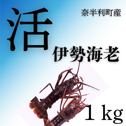 【ふるさと納税】活　伊勢海老1kg