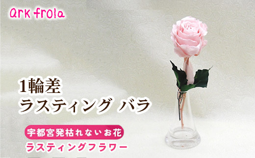 
            1輪差 ラスティング バラ
          