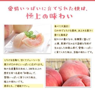フルーツ王国 和歌山 の 桃 約2kg（fr-06）_ 先行予約 2025年6月中旬から7月下旬発送【MS107】