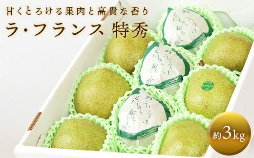
                  【令和8年産先行予約】 十三代目 佐藤市右衛門 ラ・フランス 約3kg (7～10玉 特秀 3～6L) 《令和8年11月上旬～発送》 『旬の果実 佐藤市右衛門農園』 ラフランス 西洋梨 洋なし 果物 フルーツ デザート 山形県 南陽市 [677]
                
