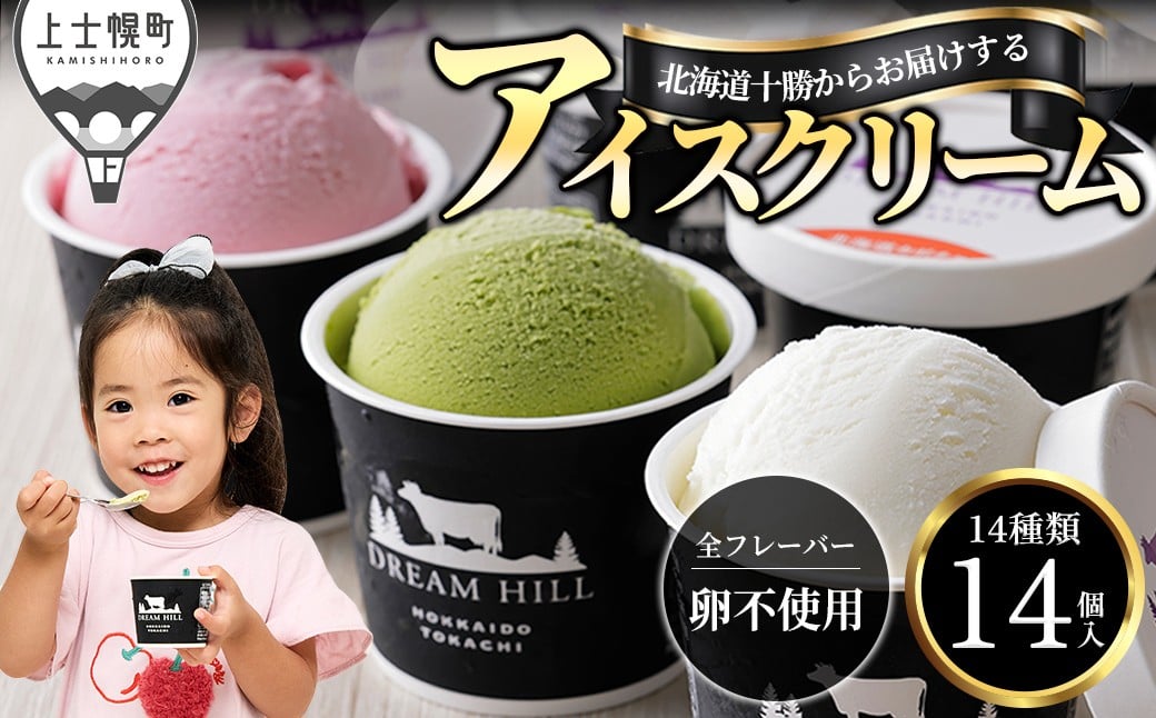 猛暑を乗り切ろう！　配送希望日指定可　ドリームヒル　よくばりアイスクリームセット＜100ml×14ヶ＞