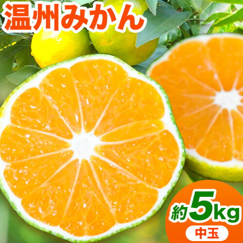 【先行予約】【ふるさと納税】和歌山県産 極早生みかん（日南・ゆら） 約5kg m＆n果実園《2025年10月中旬-11月末頃より出荷予定》和歌山県 紀の川市 果物 フルーツ 極早生 みかん ミカン 柑橘類 送料無料