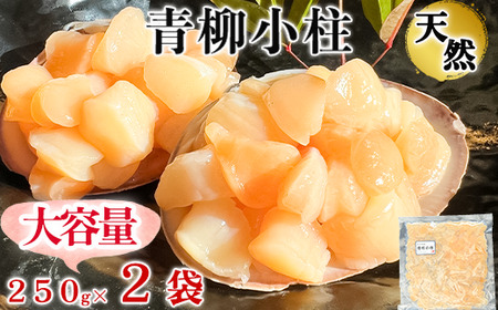 岬だよりの【貝専門店】天然の青柳小柱　250g×2袋【配送不可地域：離島】【1469652】