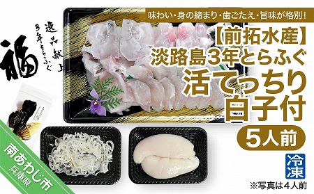 【前拓水産】淡路島3年とらふぐ（活てっちり／白子付5人前）冷凍