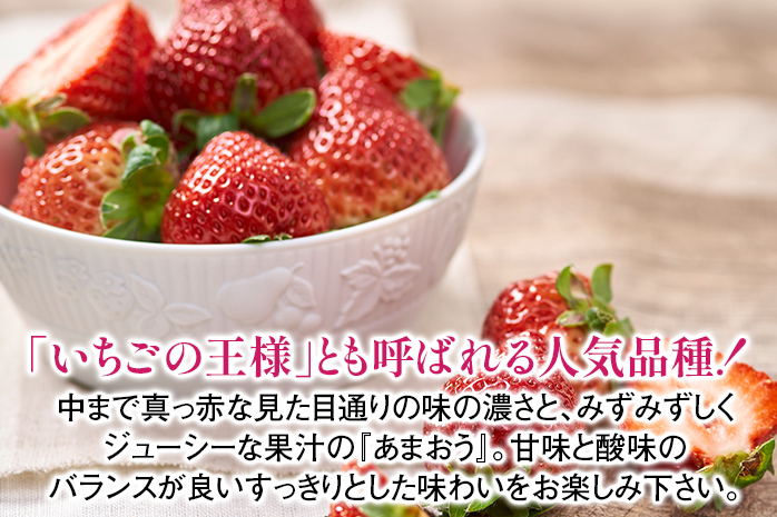 あまおう ギフト箱 約600g 苺 果物 フルーツ 冷蔵 箱入り ギ