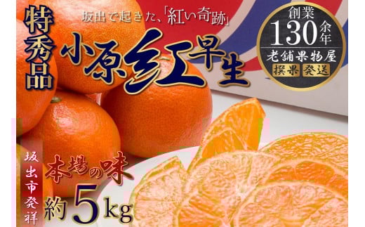 
            特秀品！小原紅早生みかん　約5kg【坂出発祥の真っ紅なお蜜柑】
          