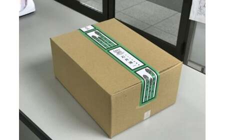 【予約受付/5月初旬～6月初旬発送予定】春！採りたてアスパラガス 約1.2kg 岩手県 北上市 C0511 アスパラ アスパラガス 野菜 人気 北海道 に負けない 美味しい 新鮮 採れたて 訳あり 不