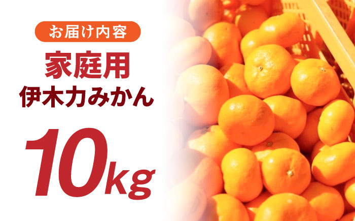 【先行予約】《伊木力みかん》家庭用みかん(10kg) / みかん ミカン 蜜柑 フルーツ 果物 / 諫早市 / 山野果樹園 [AHCF001]