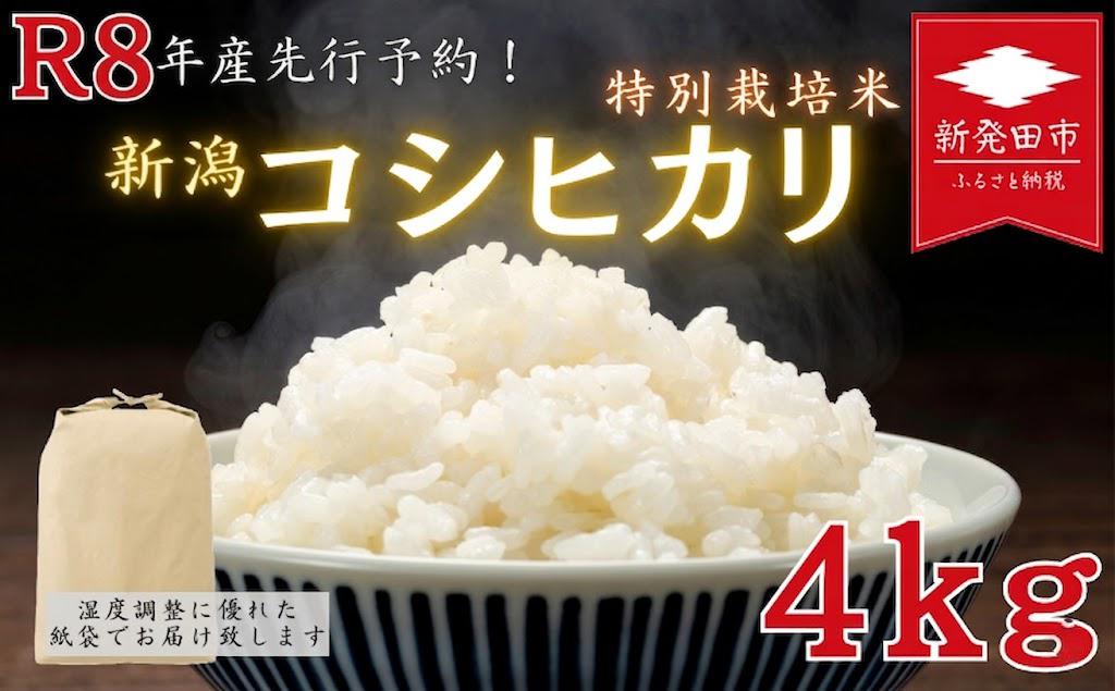 
                  【令和8年先行予約】特別栽培米コシヒカリ 4kg ｜ 先行予約 令和8年産 特栽米 コシヒカリ 精米 白米 ご飯 おにぎり 弁当 減農薬 新潟県産コシヒカリ 新発田産 新潟コシヒカリ 米 お米 こめ アグリフルキャス湖南 新潟県 新発田市 afk002
                